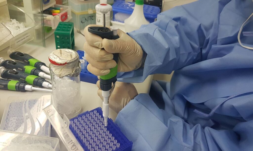 Imunizante da Fiocruz Minas e UFMG avança em testes de laboratório