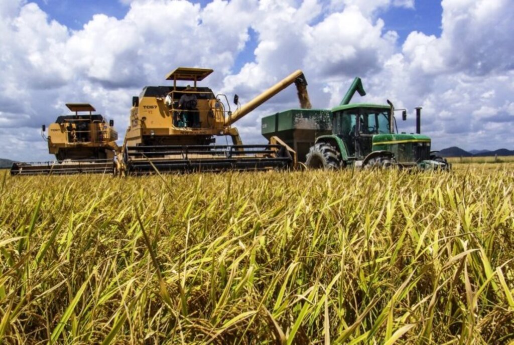 Semana registra 70% da área colhida no RS