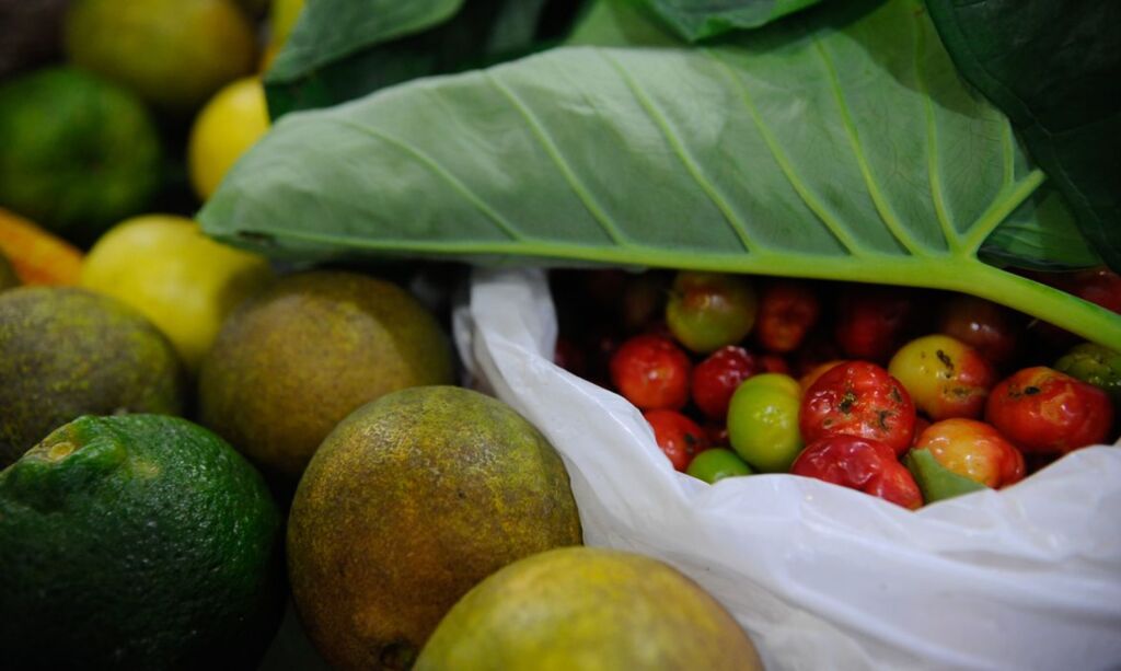 Desperdício de alimentos é um problema global, diz documento da ONU