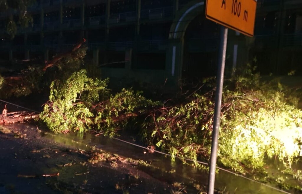 Tempestade assusta e deixa estragos em Pelotas