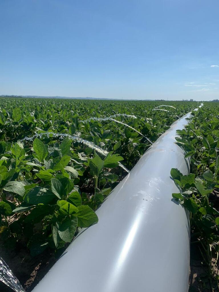 Irrigação da soja é tema de Dia de Campo