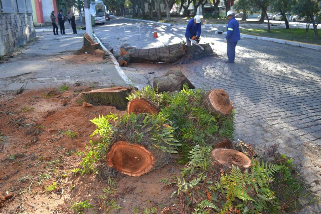 Covid deixa servidores em alerta