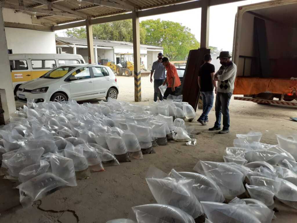 Pelotas bate recorde de entrega de alevinos em 2020