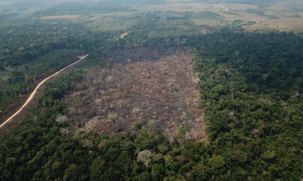 Desmatamento da Amazônia sobe 9,5%