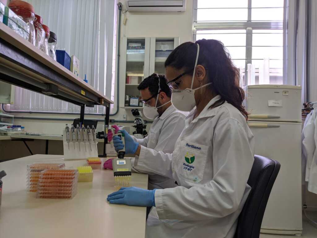 Pesquisadores da UFPel desenvolvem moléculas inovadoras para combate à Covid-19
