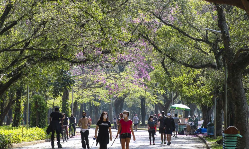 Cai para 33,8 milhões número de pessoas rigorosamente isoladas
