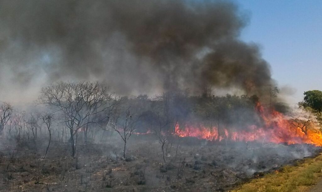 Incêndio consome área de preservação em Minas Gerais