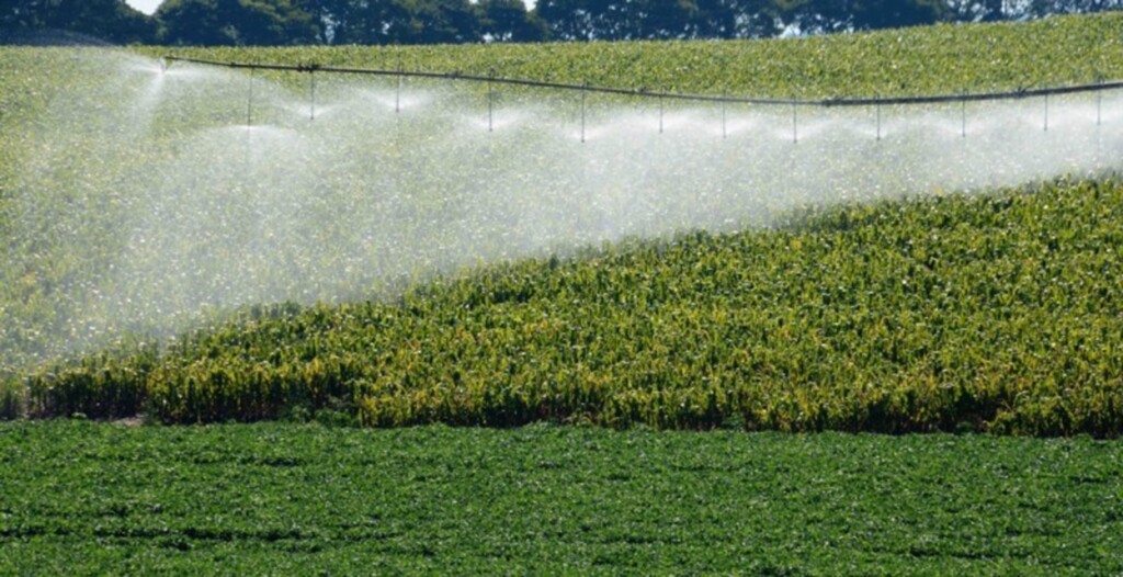 Agrotóxico a base de Paraquate está proibido