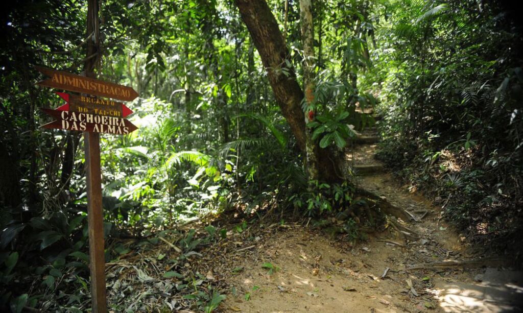Governo cria Cadastro Ambiental Urbano