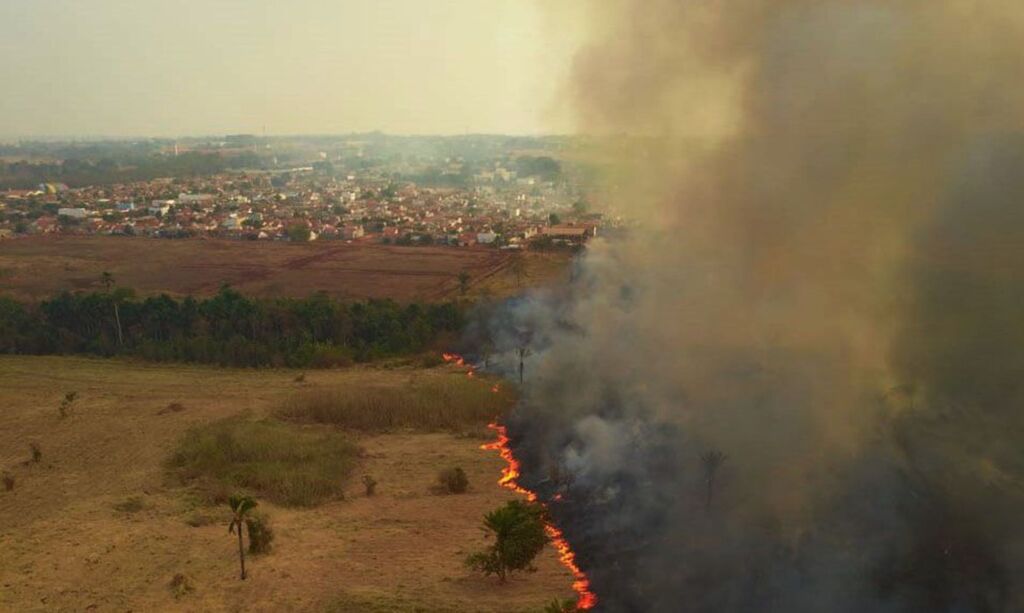 Senadores visitam o Pantanal e dizem que cenário é devastador
