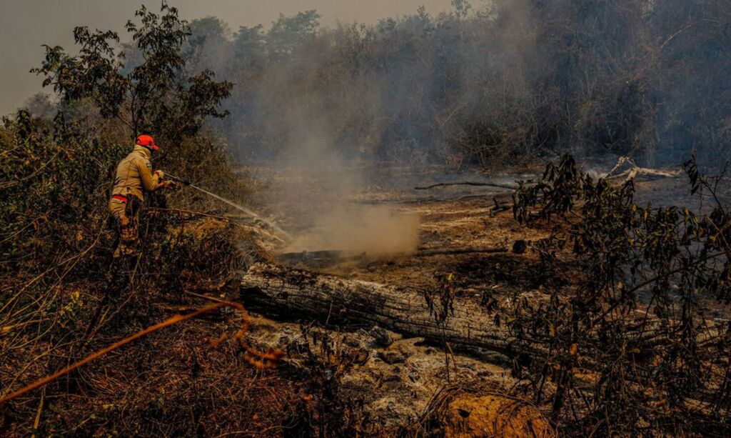 Polícia Federal apura causas de incêndios no Pantanal