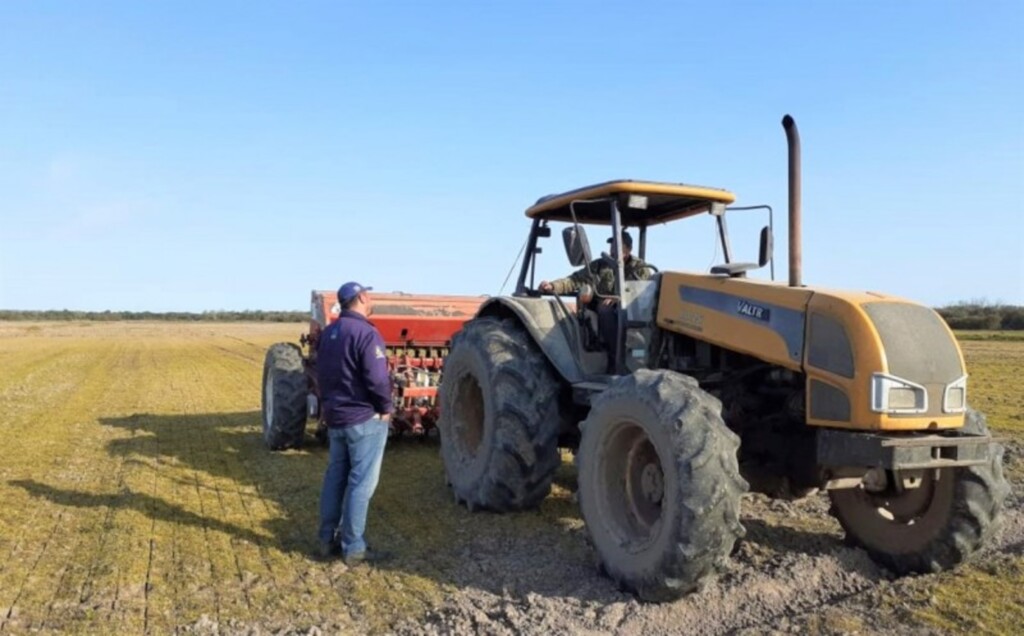Começa a semeadura do arroz da safra 2020/2021