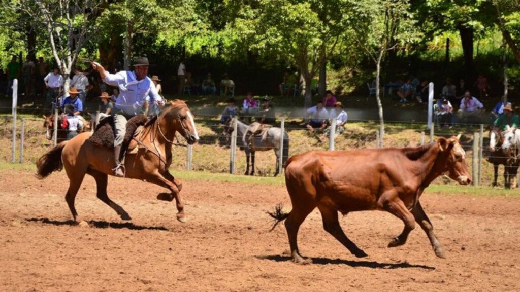 Secretaria da Agricultura libera atividades e provas campeiras