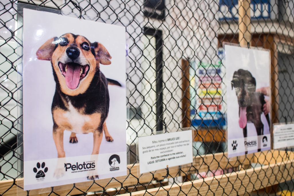 Comupa continua arrecadando ração para os animais