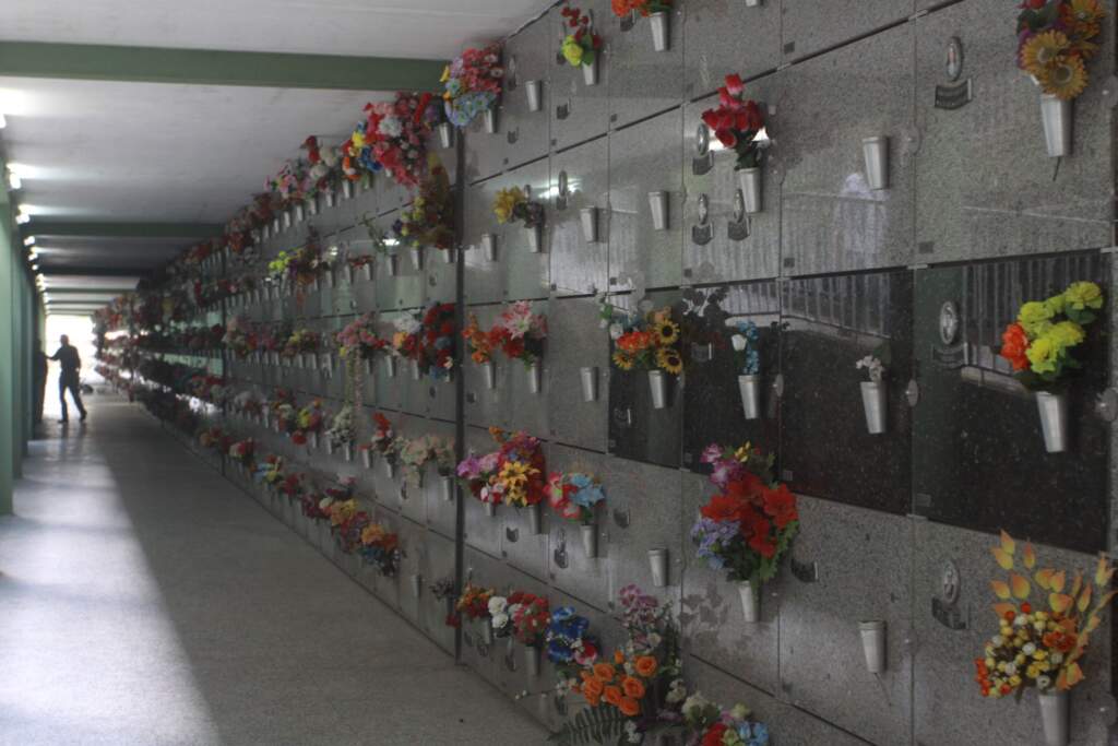 Dois anos depois, lei segue só no papel