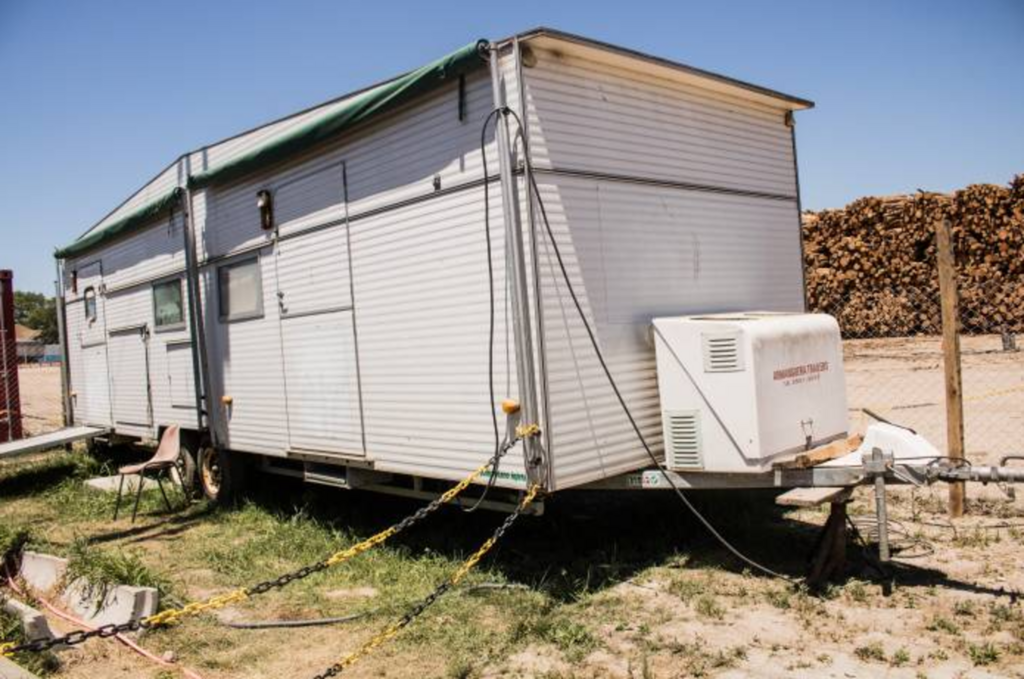 Pelotas terá Castramóvel para atuar com cães e gatos