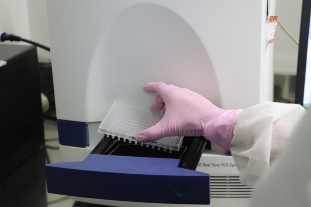 Pelotas registra mais 18 casos de Covid-19