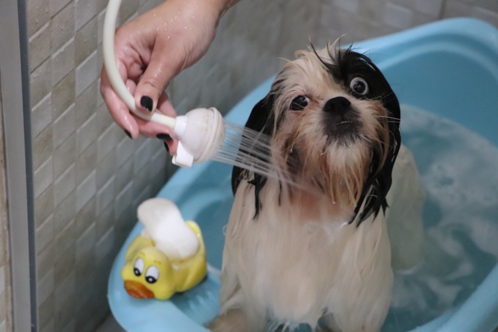 O banho e o frio: uma relação de amor e... necessidade