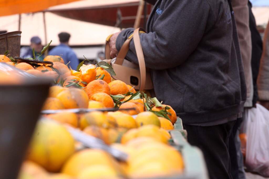 Feira livre da Cohabpel passa por mudança temporária de localização