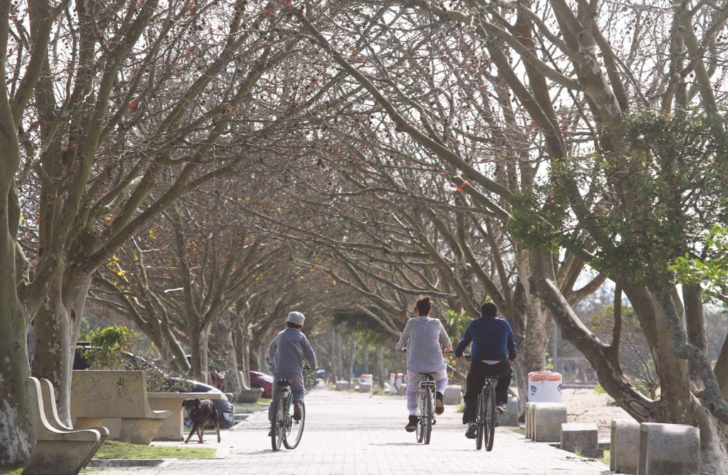 Desafio. Convite é para que a população coloque o corpo 
em movimento no dia a dia (Foto: Jô Folha - DP)
