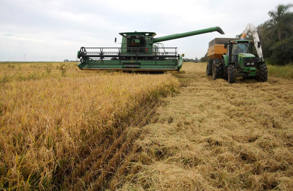 Governo anuncia R$ 236,3 bilhões para o Plano Safra