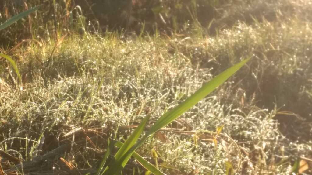 Sul do país tem tempo frio com sol e poucas nuvens, neste domingo