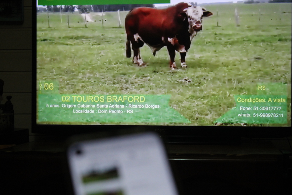 Remates virtuais de outono registram alta liquidez