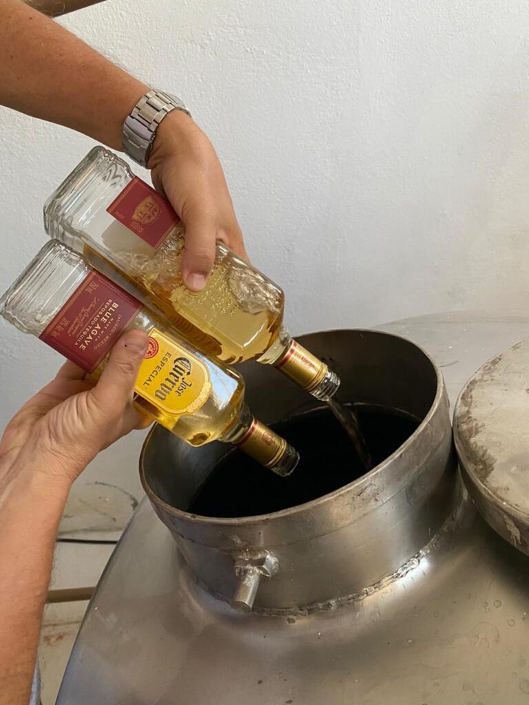 Divulgação - 