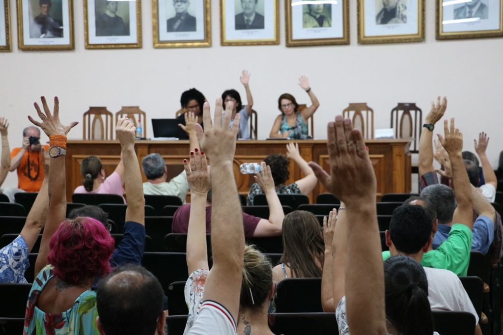 Divulgação - 
