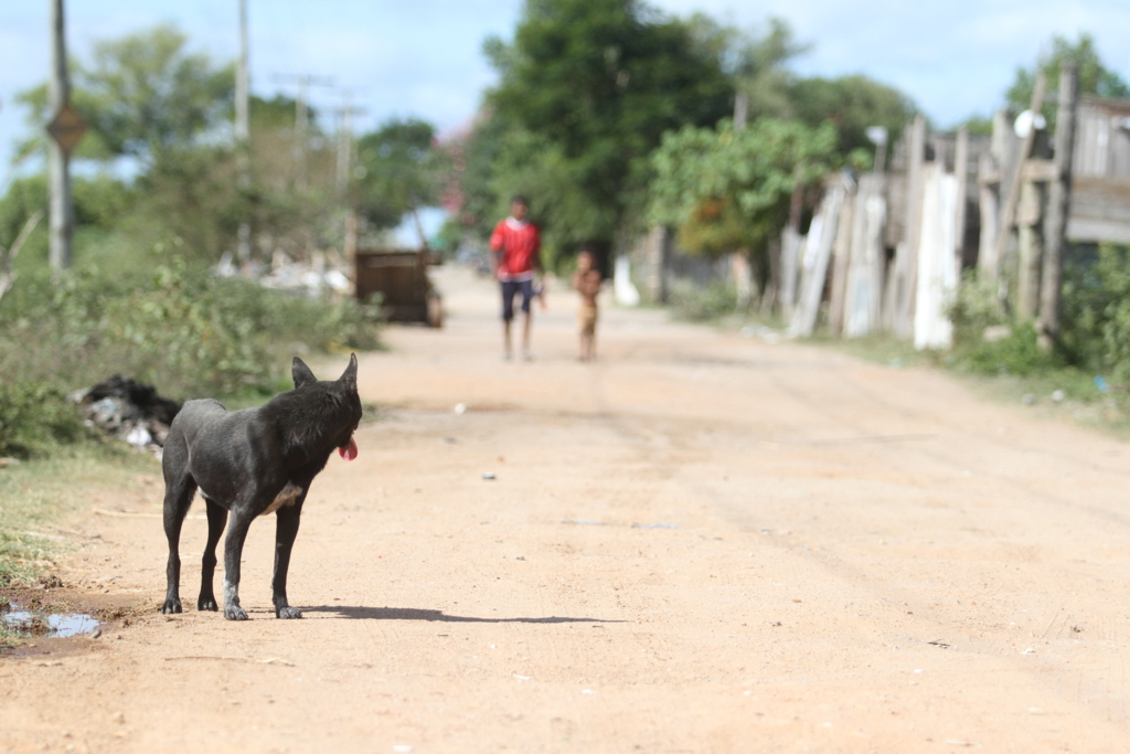 Loteamento Estrada do Engenho vira realidade
