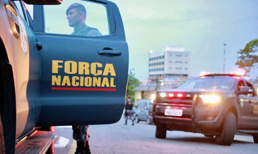 Divulgação - 