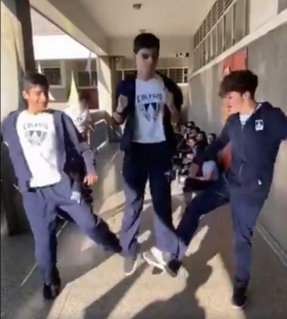 Reprodução - 