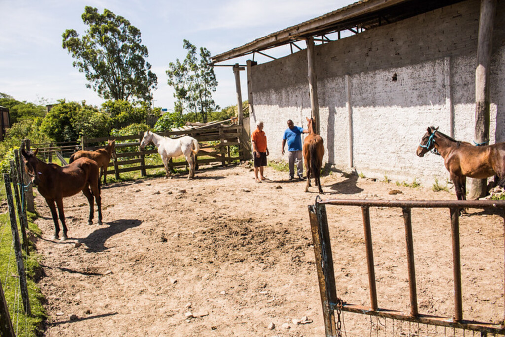 Hospedaria realiza primeira doação de cavalos de 2020