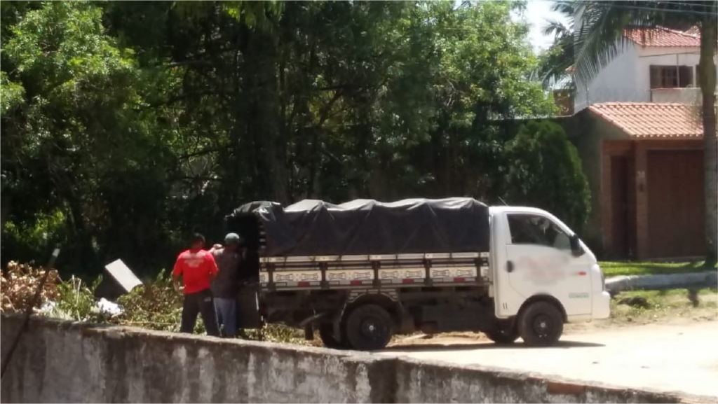 Divulgação - 