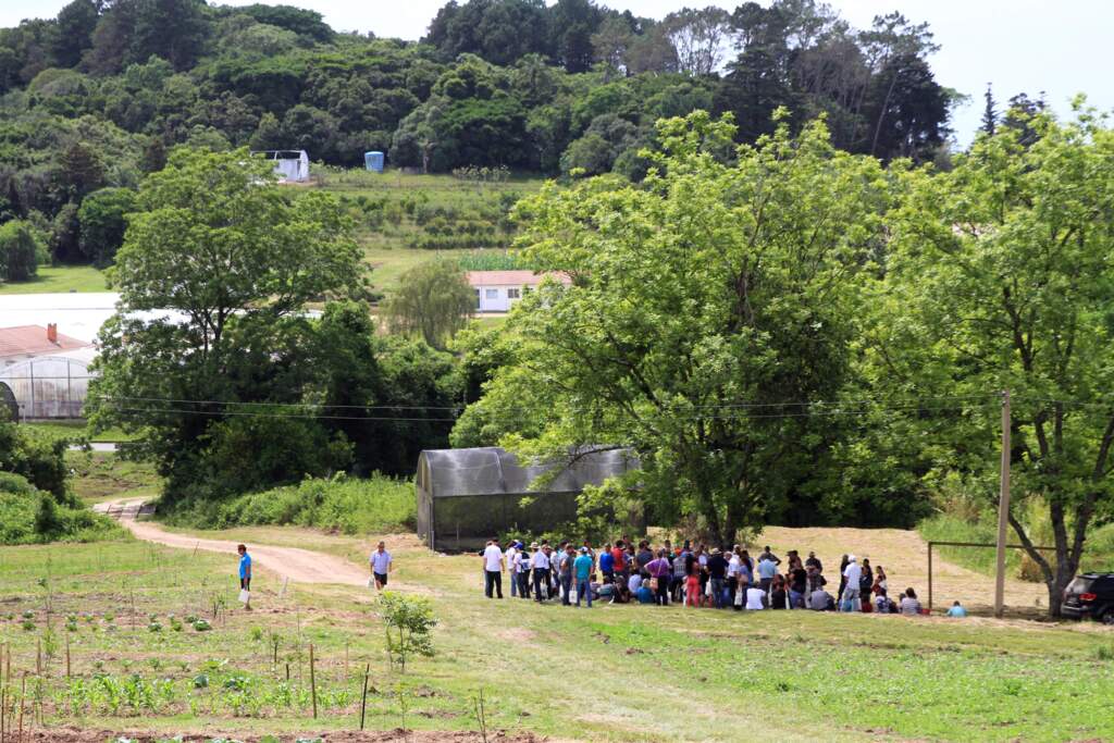 Dia de Campo  destaca produção de alimentos seguros