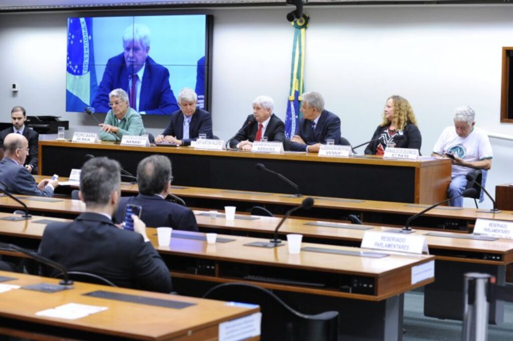 Divulgação - 