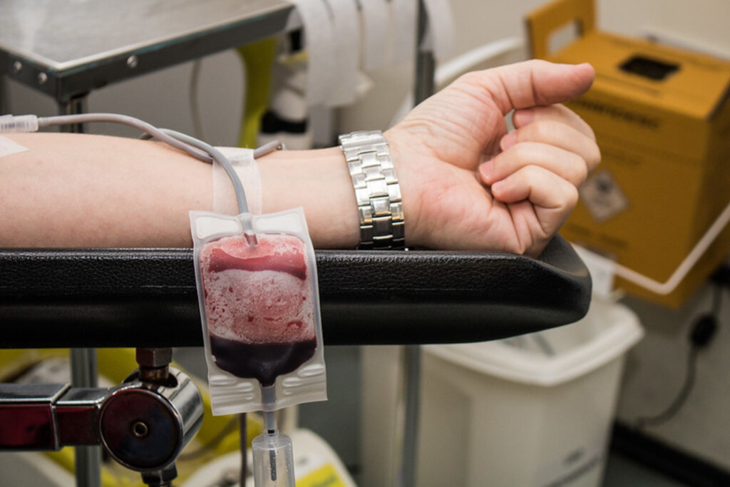 Hemopel recebe mais de 110 doações no Dia Nacional do Doador Voluntário