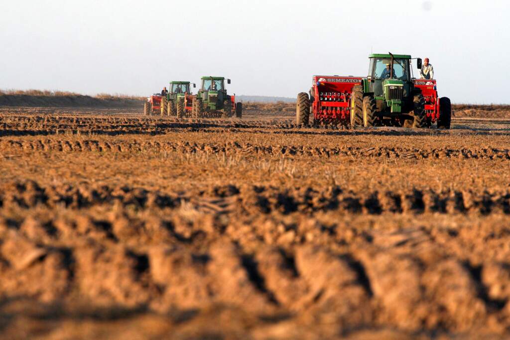 Semeadura de arroz no RS atinge 76% do previsto