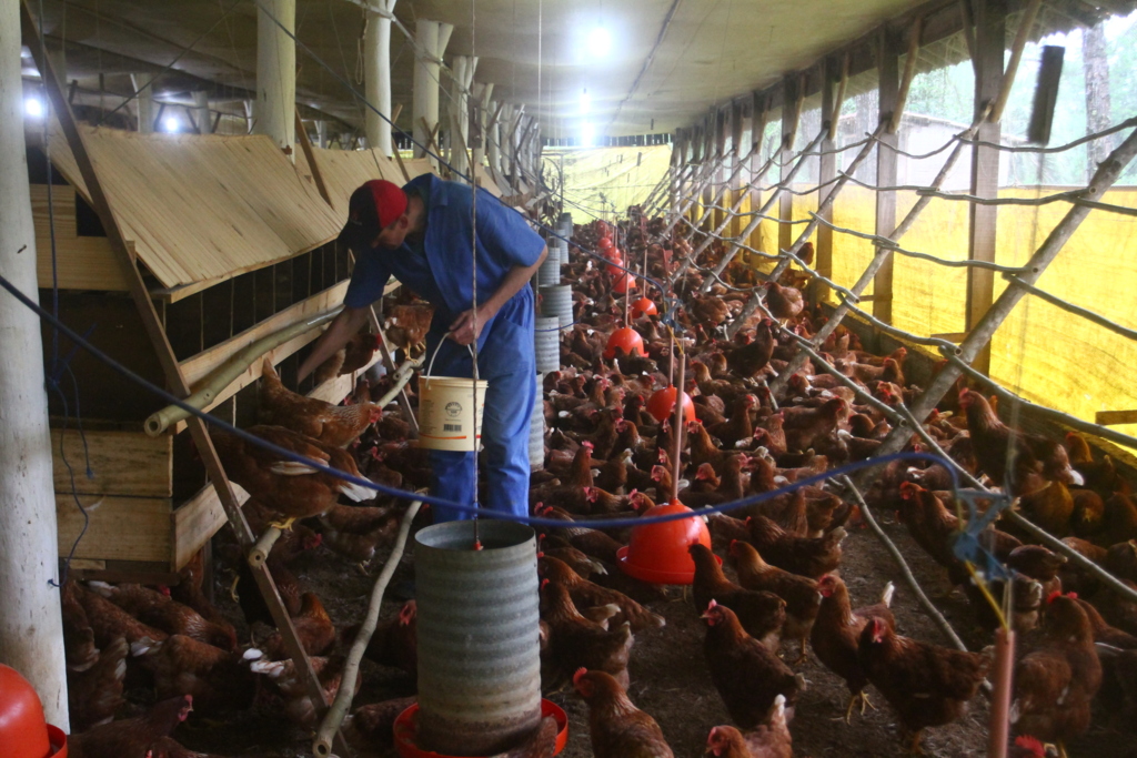 Um recomeço após a crise