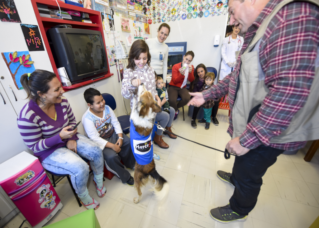 Lei autoriza visita de pets  a pacientes hospitalizados