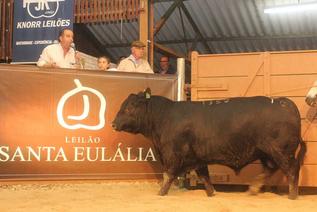 Remate da Santa Eulália nesta sexta-feira