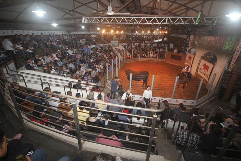 Cerimônia de abertura da 93ª Expofeira acontece nesta quinta-feira