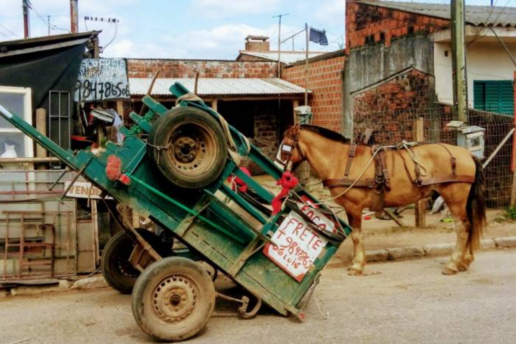 Projeto Adoção de Cavalos ocorre na próxima terça-feira