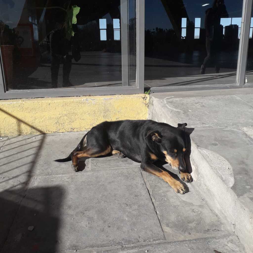 De volta para 