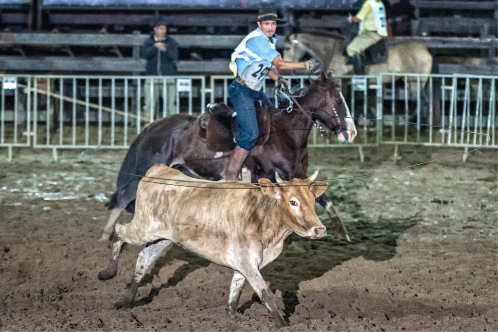 Modalidades equestres agora são Patrimônio Cultural