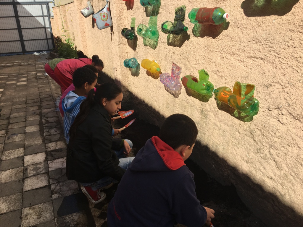 Dia da Árvore é celebrado com plantio no Cras Fragata