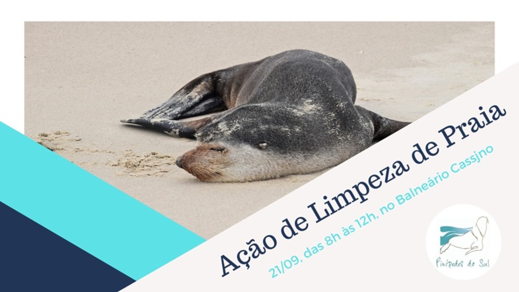 Sábado é dia de limpeza na praia do Cassino