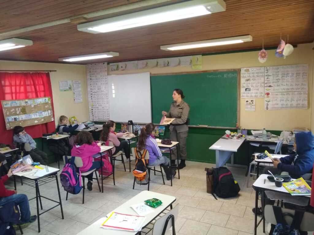 Divulgação - 