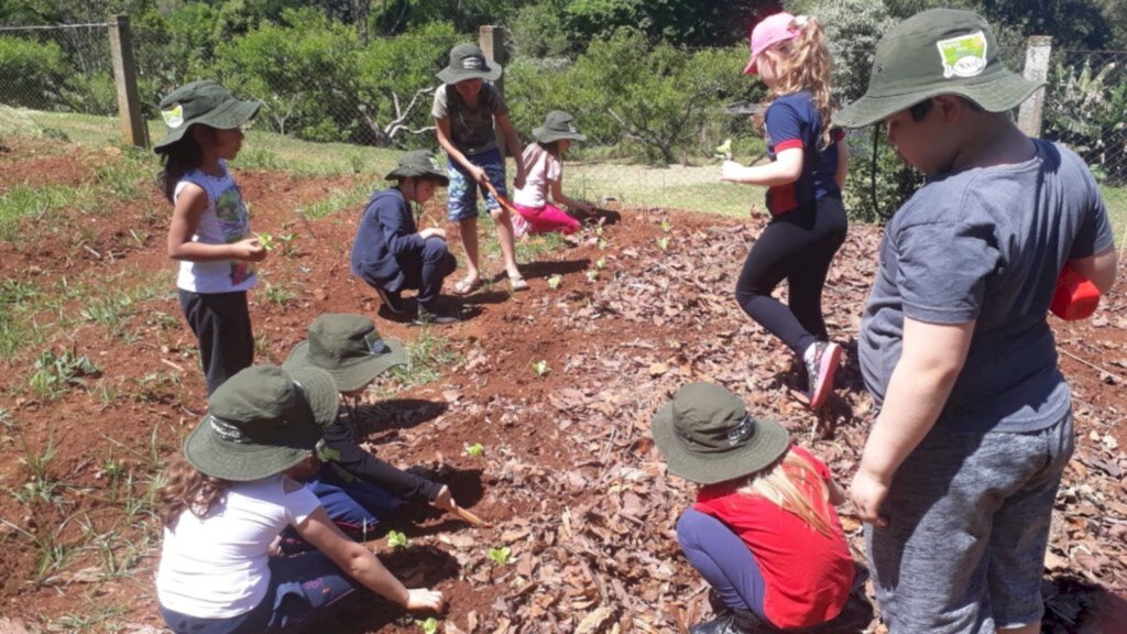 ESTUDANTES FAZEM PLANTIO DE VERDURAS COM O USO DE TÉCNICA DE COBERTURA DE SOLO