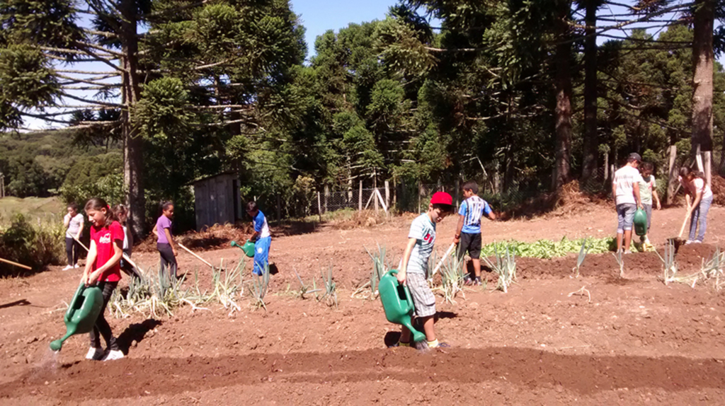 Alunos do Turno Integral colhem os frutos do  aprendizado